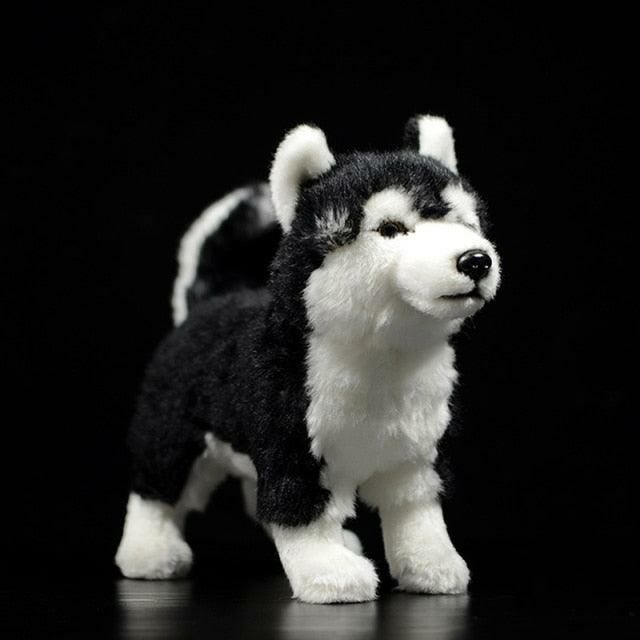 Animals 9" Realistic Alaskan Malamute Dog Plush Toy | Dogs Animals (C-E) Animals