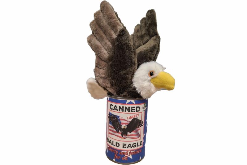 Animals Canned Gifts – Canned Bald Eagle | Liberty | July 4th | Fourth of July USA | Eagles Animals (C-E) Animals