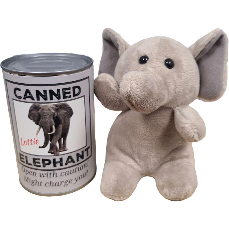 Animals Canned Gifts – Lottie the Canned Elephant – Stuffed Animal Plush w/Jokes | Elephants Animals (C-E) Animals