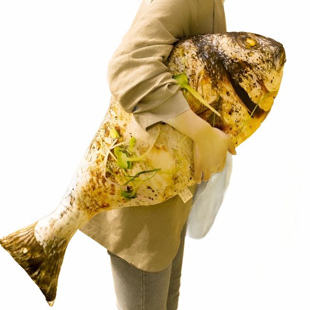 Animals Giant Fish 3D Plush Toy | Fish Animals (F-H) Animals