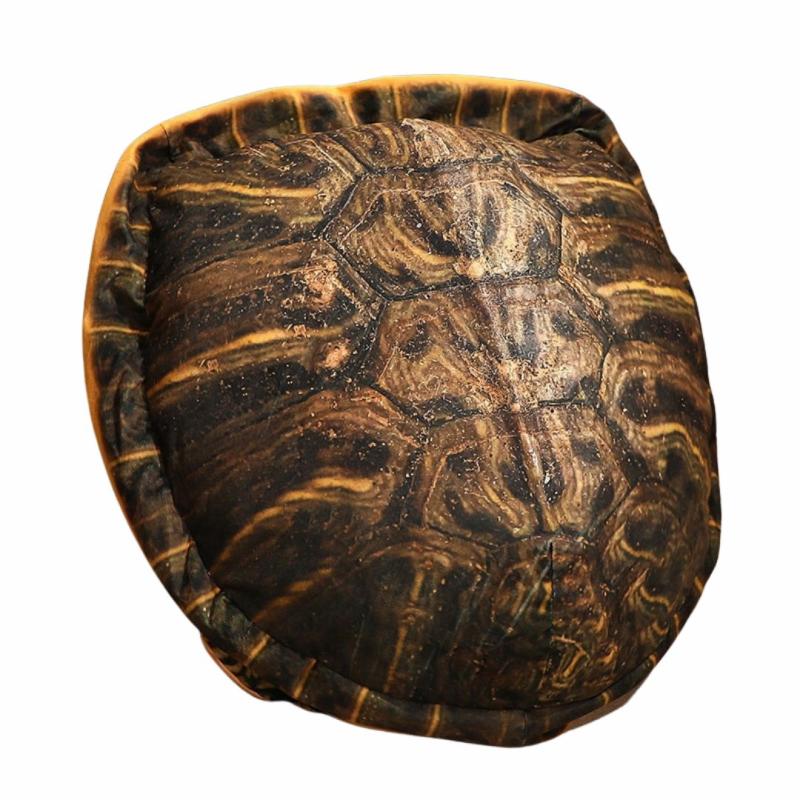 Animals Giant Turtle Shell Pillow Plush Toy | Turtles Animals (T-Z) Animals