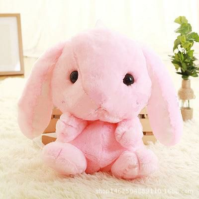 Animals Lolita the Kawaii Bunny Rabbit for Kids | Bunnies Animals (A-B) Animals