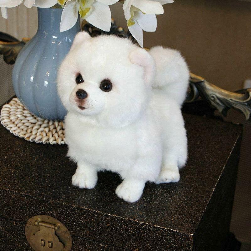 Animals Pomerani dog plush toy | Dogs Animals (C-E) Animals