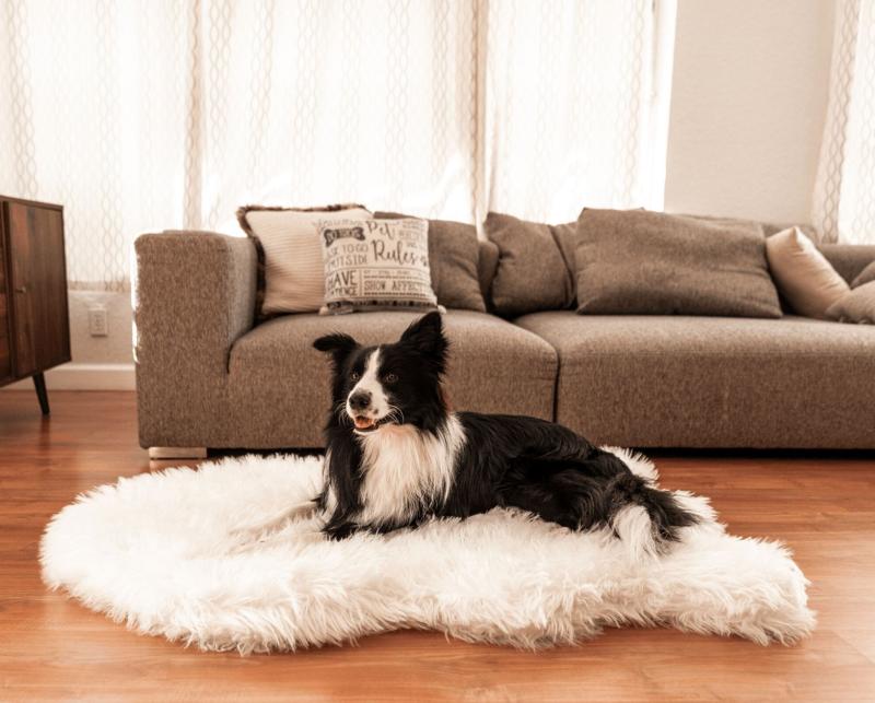 Animals PupRug by Paw.com™ Faux Fur Orthopedic Dog Bed – Curve Polar White | Medium (40In L X 25In W) | Dogs Animals (C-E) Animals