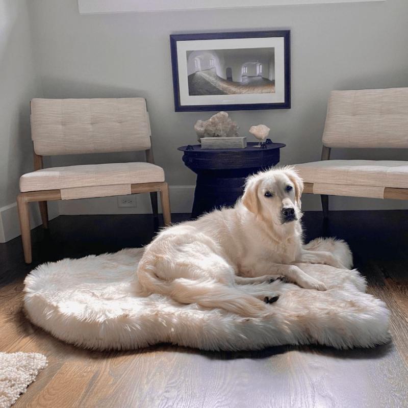 Animals PupRug by Paw.com™ Faux Fur Orthopedic Dog Bed – Curve White with Brown Accents | Medium (40In L X 25In W) | Dogs Animals (C-E) Animals