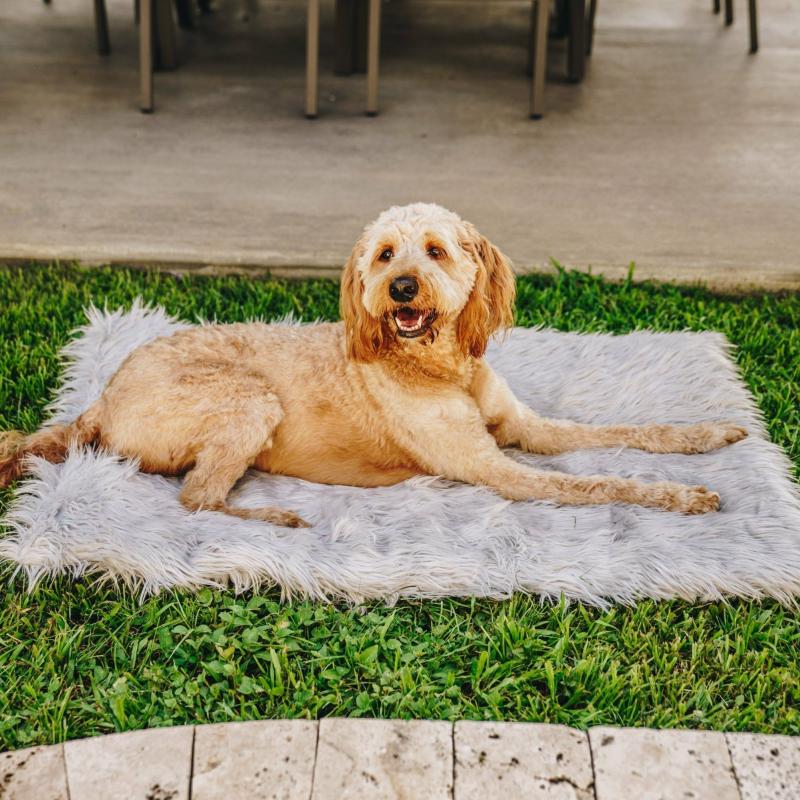 Animals PupRug by Paw.com™ Portable Orthopedic Dog Bed – Grey | Small/Medium (24In L X 34In W) | Dogs Animals (C-E) Animals