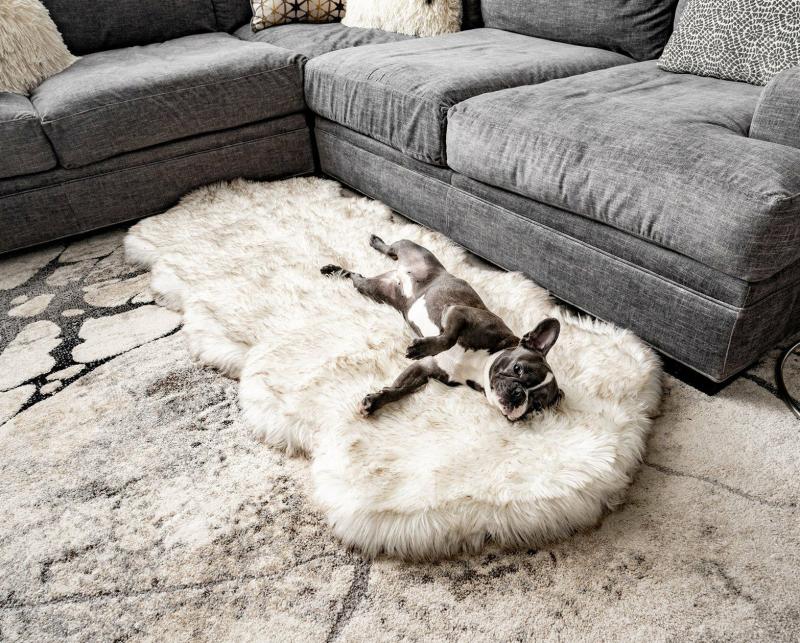 Animals PupRug™ Runner Faux Fur Memory Foam Dog Bed – Curve White with Brown Accents | One Size (72In L X 28In W) | Dogs Animals (C-E) Animals