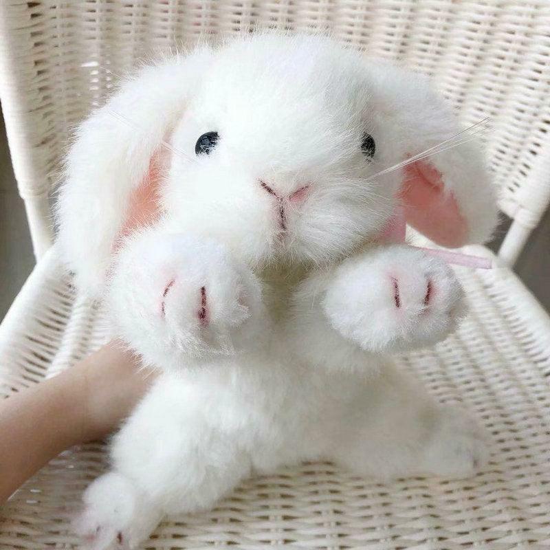 Animals Realistic Plush Toy Bunny Rabbit | Bunnies Animals (A-B) Animals