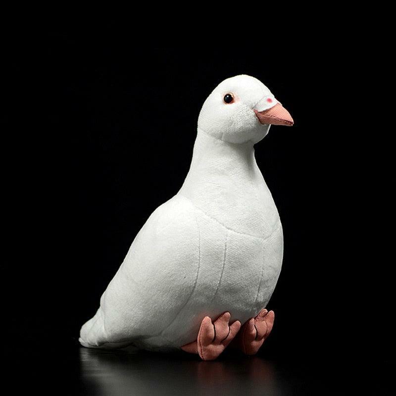 Animals Realistic Wild Pigeon Plush Toys | 8In | Pigs Animals (P-R) Animals