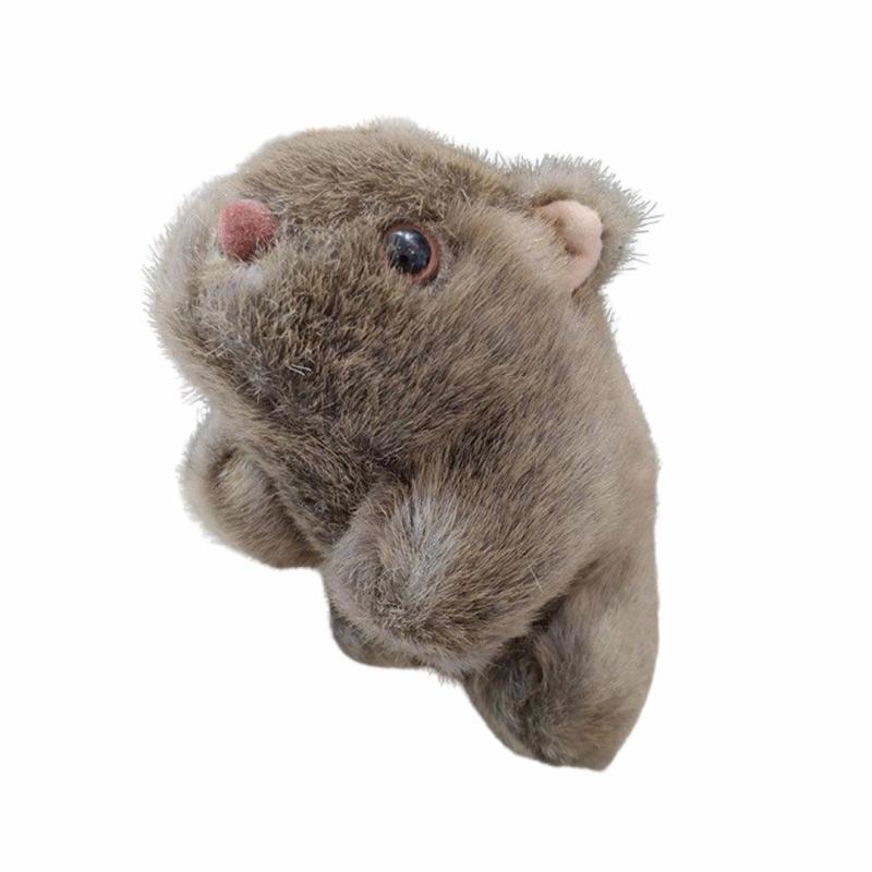 Animals Realistic Wombat Plushie | 18cm | Bats Animals (A-B) Animals