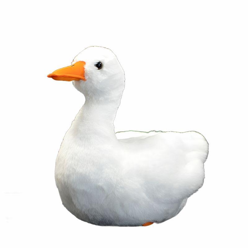 Animals SPECIFICATIONS | Ducks Animals (C-E) Animals