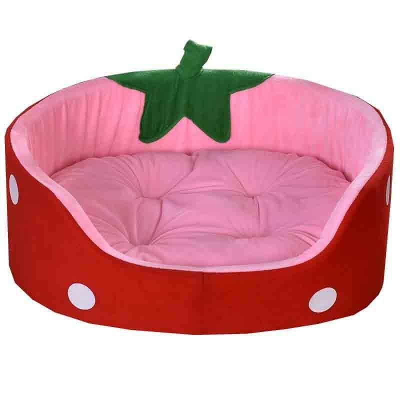 Animals Strawberry Shaped Small Dog and Cat Pet Bed | L | Dogs Animals (C-E) Animals